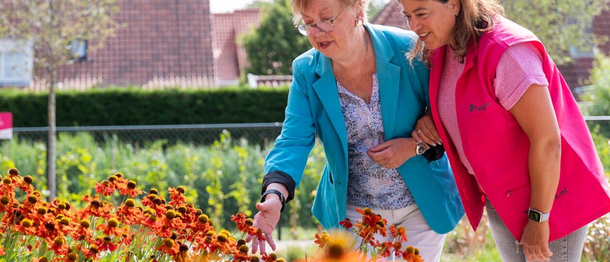 Het Deltaplan: Arbeidsmarkt zorg en welzijn Zeeland heeft als doel voldoende en goed opgeleide professionals in zorg en welzijn in Zeeland